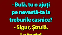 BANC | Bulă și treburile casnice