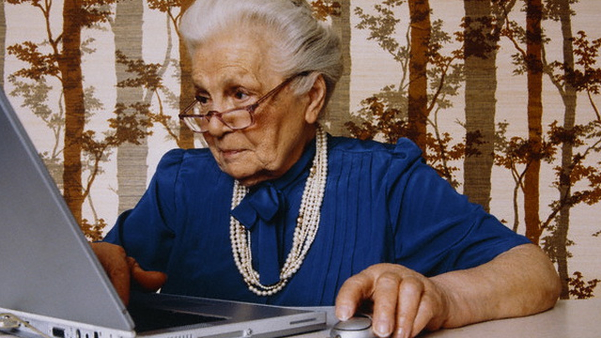 O femeie de 63 de ani din Cluj s-a ales cu dosar penal pentru piraterie online! A rupt in doua internetul pe torrente!