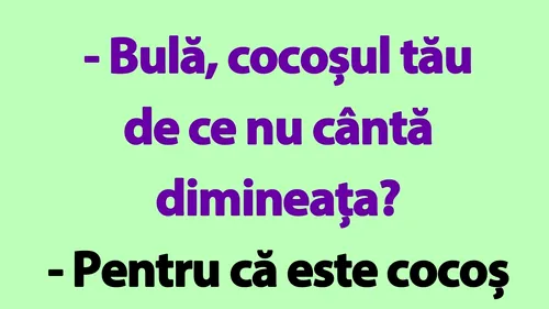 BANC | Bulă, cocoșul tău de ce nu cântă dimineața?