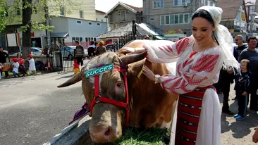 Andreea Marin a vândut carne tocată la o măcelarie de cartier si a stat la coada vacii cu un ceas de 8000 de euro la mână