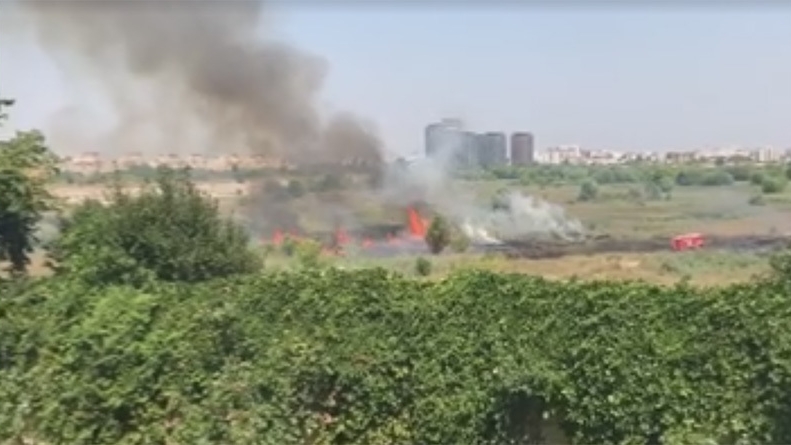Incendiu de vegetaţie în Delta Văcăreşti!