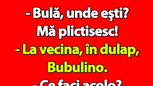 Bancul de vineri | "Bulă, unde ești? Mă plictisesc!"
