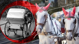 Turist de 18 ani, ucis într-un accident cu o trăsură trasă de cai în Central Park. Tragedia reaprinde controversa din jurul industriei din New York