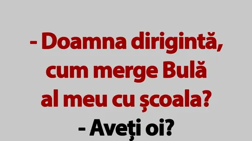 BANC | Doamna dirigintă, cum merge Bulă al meu cu școala?