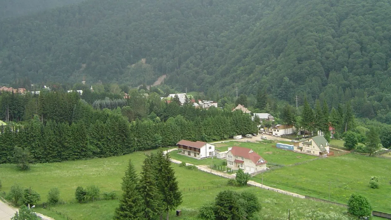 Descoperire macabră in Sinaia! Ce au gasit salvamontistii intr-o pădure! Politistii au izolat zona