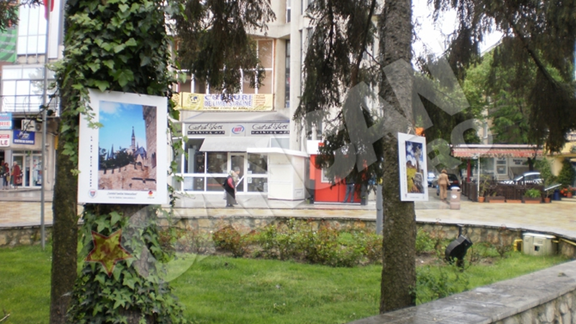 Tablouri atarnate in copaci la Pitesti