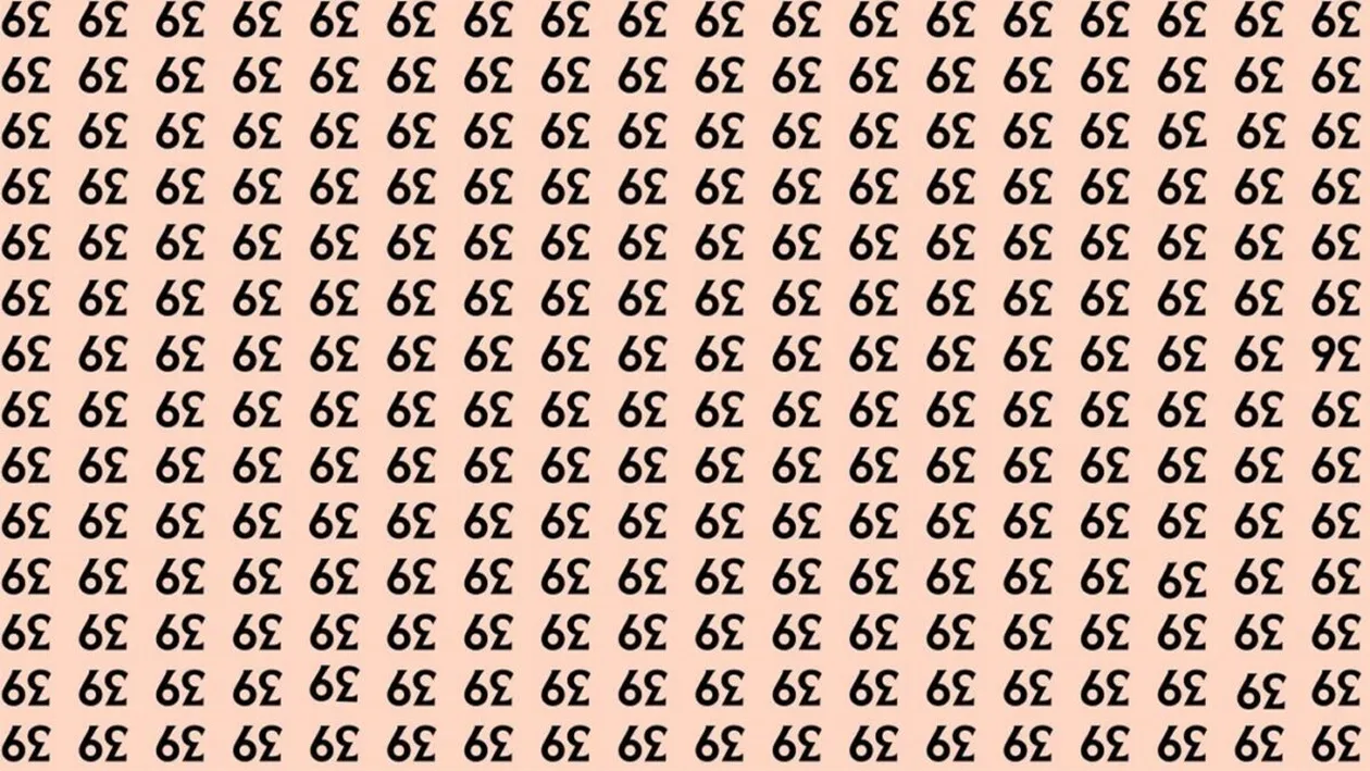 Test de inteligență | În cel mult 10 secunde, puteți găsi numărul 36 în această poză?