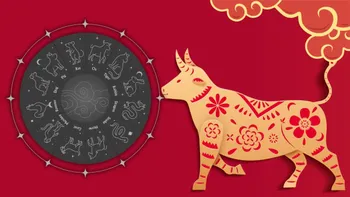 Horoscop chinezesc azi, 14 iulie 2026. Zodia Bivol trebuie să evadeze din rutina zilnică pentru a atrage schimbări în viața sa