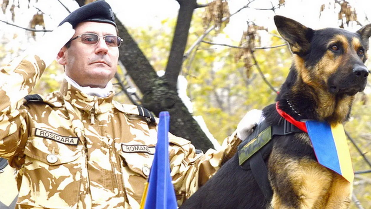 A picat! Ce se intampla acum cu Max, cainele-erou pe care Armata Romana l-a lasat sa moara!