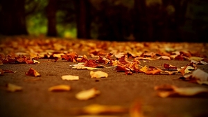 Ce surpriză ne-a pregătit vremea! Meteorologii au anunţat cum va fi vremea începând de mâine