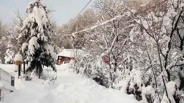 Vin ninsorile! ALERTĂ ANM: cum va fi vremea în România săptămâna viitoare
