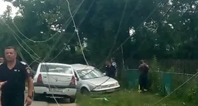 Galerie foto - poza 1