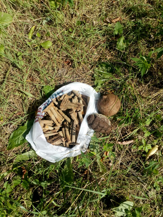 Un ”căutător de comori” din Vrancea a găsit două grenade defensive și 80 de cartușe