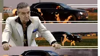 Uite-l pe Gigi Becali cum supervizează vacile pe miriște din Bentley-ul de 250.000 €, deși are cioban!