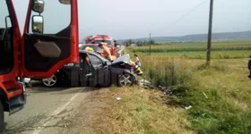 Galerie foto - poza 1