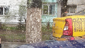 Foto de senzatie! Ce face un bucurestean cand este la amanta si vine sotul acesteia acasa. Sare pe geam si...