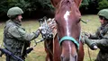 Cavalerie reală în loc de tancuri: Rusia prezintă „drona ecvestră” – un cal cu terminal Starlink