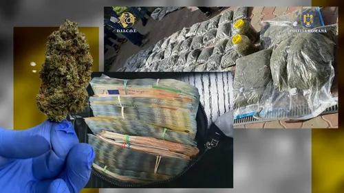 Captură record de cannabis în România! Doi dintre suspecți sunt persoane publice