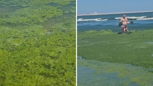 Stațiunea de la Marea Neagră care a șocat turiștii: „Credeam că e ciorbă de urzici”