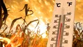 Weekend cu 36 de grade la umbră. Care sunt zonele lovite de caniculă și unde sunt așteptate vijelii. Prognoza actualizată de la ANM, pentru Gândul