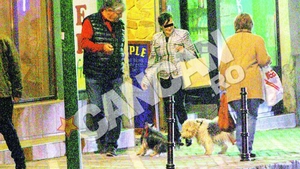 "Falcosul" s-a bagat intr-o incaierare canina! Andone si-a salvat "latosul" de coltii unui dulau