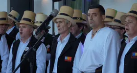 Galerie foto - poza 1