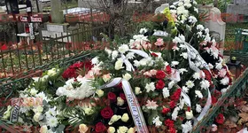 Galerie foto - poza 3