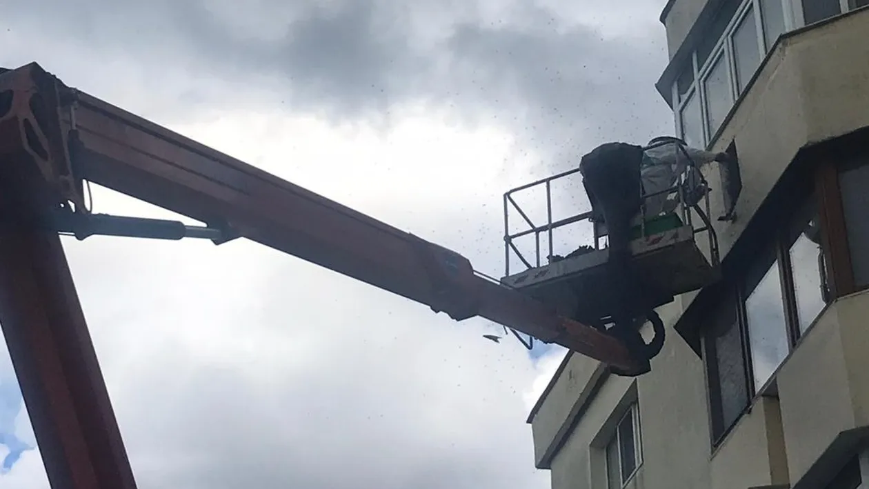 Pompierii din Bacău, solicitați la o intervenție “dulce”! Localnicii s-au oprit pe stradă ca să vadă operațiunea