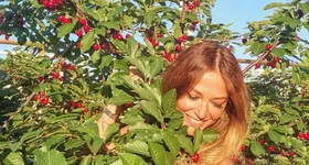 Galerie foto - poza 3