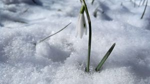 Val de aer polar peste România! Temperaturi extrem de scăzute în primele zile de primăvară