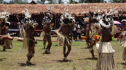 Papua Noua Guinee declară stare de urgență după ce numărul cazurilor noi de coronavirus s-a dublat în două zile