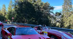 Galerie foto - poza 1