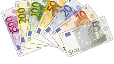 Cursul a urcat peste 4,63 lei/euro, dupa anuntul Curtii Constitutionale