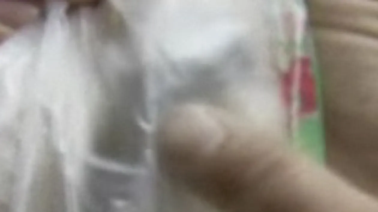 VIDEO Specialitate made in Giurgiu: Paine cu soareci!