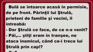 BANC | Bulă se întoarce acasă în permisie, de pe front