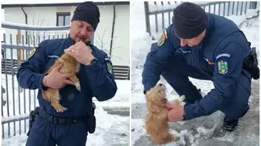 Un jandarm din Iași a salvat un cățeluș îngropat în zăpadă. Gestul care a emoționat tot internetul: „L-a uscat și l-a dus într-un loc cald”