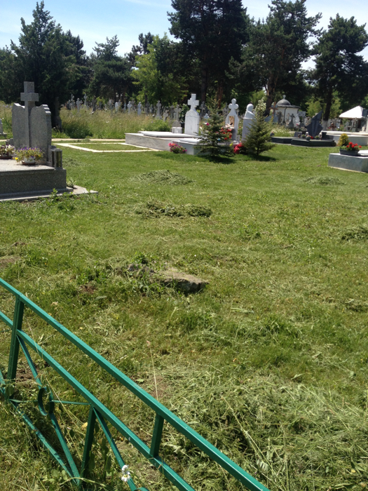 La mormântul Ilenei Ciuculete au fost plantaţi brăduţi, la două luni de la înmormântare