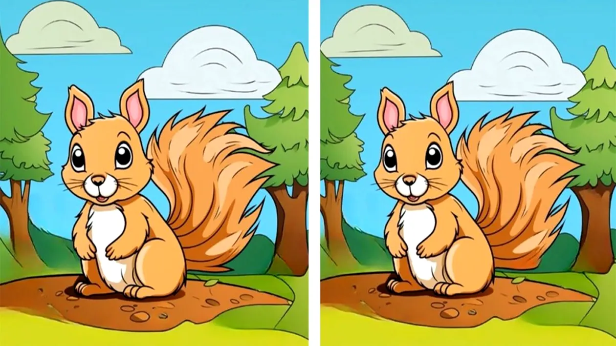 Test de perspicacitate | Identificați toate cele 3 diferențe dintre veverițele din această imagine!