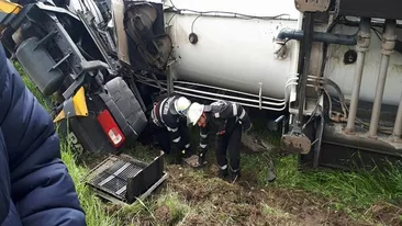 Necaz pentru Cristi Borcea! Ce s-a întâmplat la o firmă deţinută de milionar!