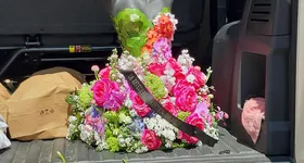 Galerie foto - poza 2