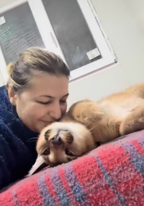 Gina Vlad, într-un moment de tandrețe cu una dintre felinele exotice pe care le-a crescut de mici foto: arhivă personală