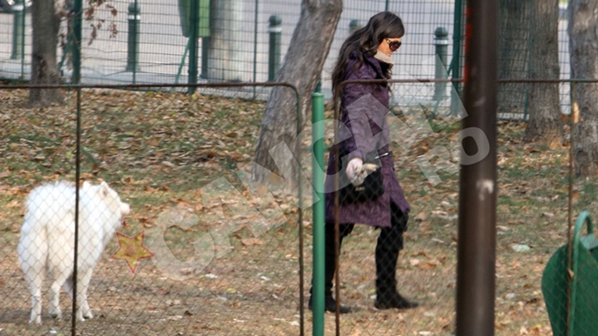 Paula Seling are Factorul "bun-simt" cand iese in parc. A curatat toata mizeria dupa catelul ei!