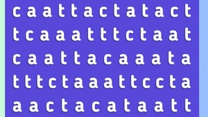 Test de inteligență | Numai cei cu IQ peste 200 găsesc cuvântul „Cat” în doar 20 de secunde!