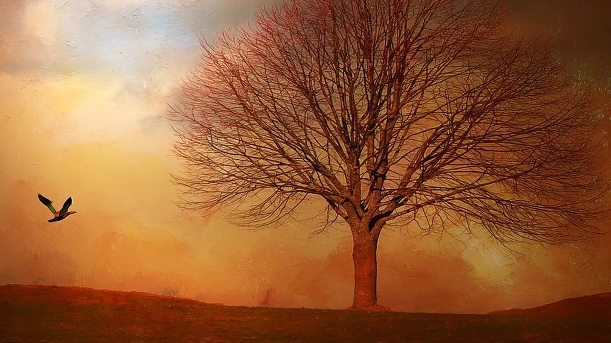 După aerul polar, un ciclon tropical a intrat în țară! Vremea se anunță deosebit de caldă pentru această perioadă