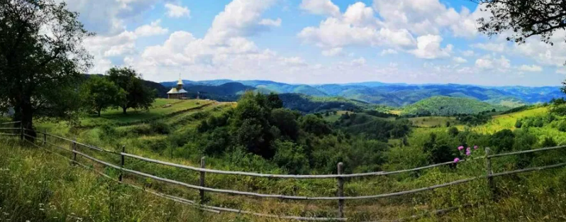 Cât costă casa părintească a lui Arsenie Boca? Are 8,5 hectare şi tocmai a fost scoasă la vânzare