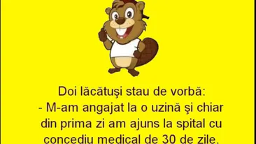 BANC | M-am angajat și chiar din prima zi de muncă am ajuns la spital, cu concediu medical de 30 de zile