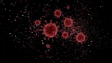 Coronavirus România, 4 septembrie. Alți 47 de oameni au fost răpuși de boala mortală