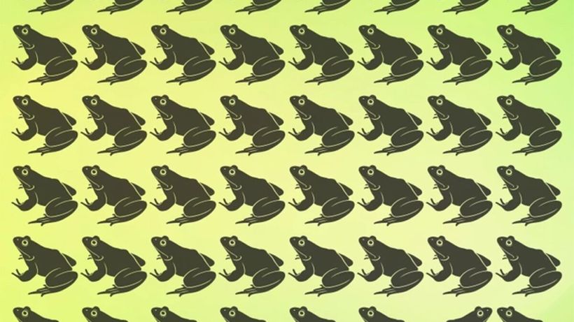 Test de inteligență | Care broască este diferită de toate celelalte?