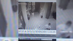 Imagini cutremurătoare la Timișoara! O mamă și-a trântit bebelușul de pământ VIDEO