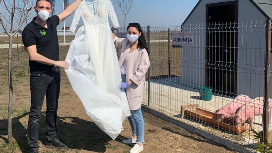 Cine-i face cadou fetei norocoase rochia de mireasă ”țiplă”? Licitația a început!